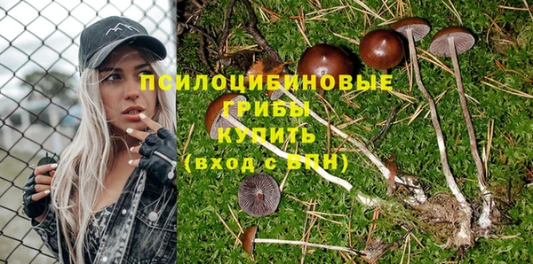 а пвп мука Лиски