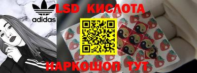 крисы Гай