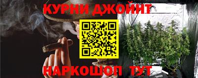 крисы Гай