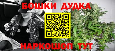 крисы Гай