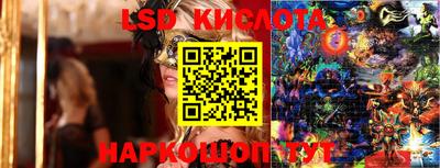 крисы Гай