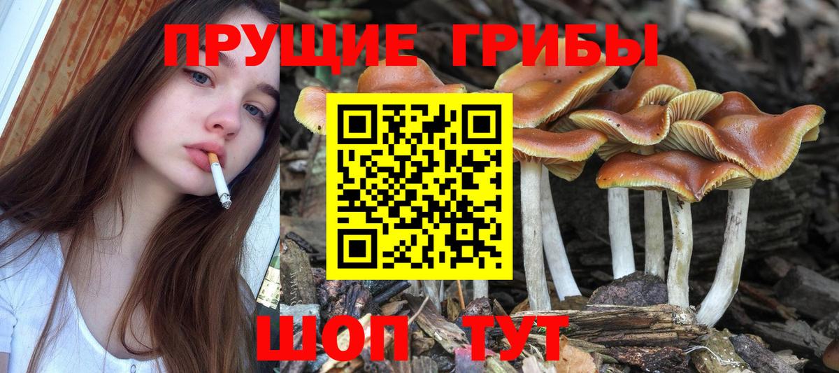 Коломна  Псилоцибиновые грибы ЛСД  Вход с VPN  Псилоцибиновые грибы Magic Shrooms 