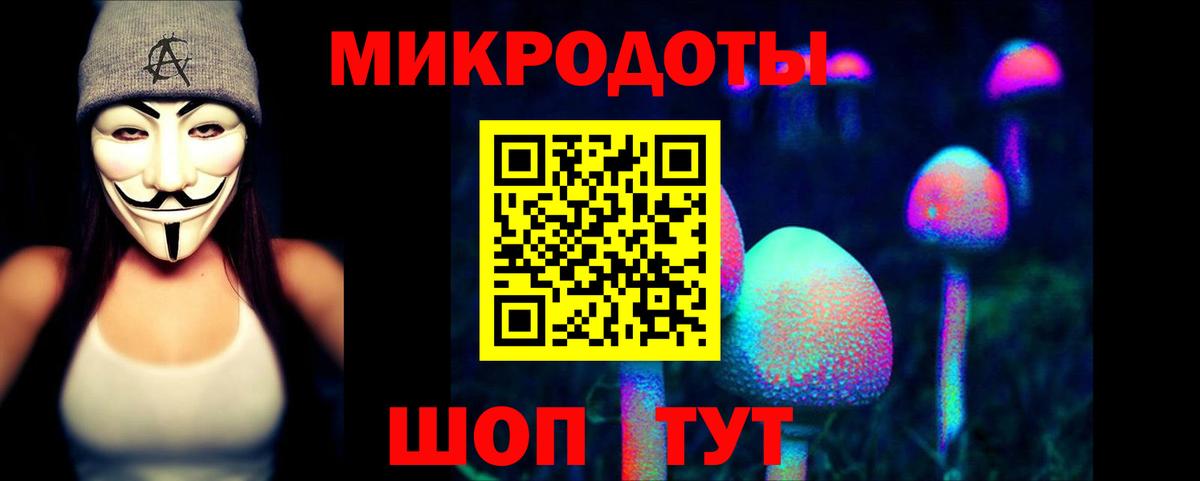 Псилоцибиновые грибы Psilocybe Коломна